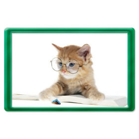 Магнит 45*70 с принтом Кот в очках в Курске, Пластик | Размер: 78*52 мм; Размер печати: 70*45 | домашнее | животное | книга | кот | кот в очках | котэ | очки | прикол | умный | ученый | читает