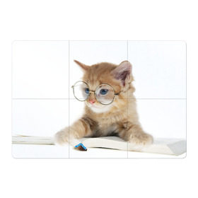 Магнитный плакат 3Х2 с принтом Кот в очках в Курске, Полимерный материал с магнитным слоем | 6 деталей размером 9*9 см | Тематика изображения на принте: домашнее | животное | книга | кот | кот в очках | котэ | очки | прикол | умный | ученый | читает