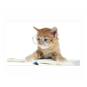 Бумага для упаковки 3D с принтом Кот в очках в Курске, пластик и полированная сталь | круглая форма, металлическое крепление в виде кольца | Тематика изображения на принте: домашнее | животное | книга | кот | кот в очках | котэ | очки | прикол | умный | ученый | читает