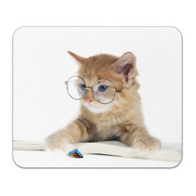 Коврик прямоугольный с принтом Кот в очках в Курске, натуральный каучук | размер 230 х 185 мм; запечатка лицевой стороны | домашнее | животное | книга | кот | кот в очках | котэ | очки | прикол | умный | ученый | читает
