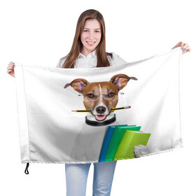Флаг 3D с принтом Ученый пес в Курске, 100% полиэстер | плотность ткани — 95 г/м2, размер — 67 х 109 см. Принт наносится с одной стороны | домашнее | животное | карандаш | книги | очки | ошейник | пес | прикол | собака в очках | умный | ученый