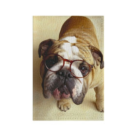 Обложка для паспорта матовая кожа с принтом Бульдог в очках в Курске, натуральная матовая кожа | размер 19,3 х 13,7 см; прозрачные пластиковые крепления | Тематика изображения на принте: бульдог в очках | домашнее | животное | очки | пес | прикол | собака | умный | ученый
