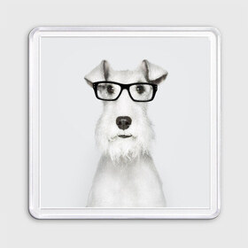 Магнит 55*55 с принтом Собака в очках в Курске, Пластик | Размер: 65*65 мм; Размер печати: 55*55 мм | белый | домашнее | животное | очки | пес | прикол | собака в очках | умный | ученый | эрдельтерьер