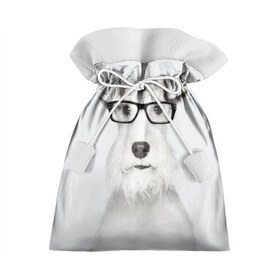 Подарочный 3D мешок с принтом Собака в очках в Курске, 100% полиэстер | Размер: 29*39 см | Тематика изображения на принте: белый | домашнее | животное | очки | пес | прикол | собака в очках | умный | ученый | эрдельтерьер