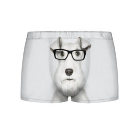 Мужские трусы 3D с принтом Собака в очках в Курске, 50% хлопок, 50% полиэстер | классическая посадка, на поясе мягкая тканевая резинка | белый | домашнее | животное | очки | пес | прикол | собака в очках | умный | ученый | эрдельтерьер