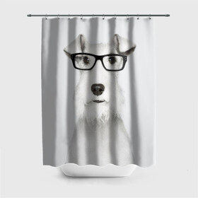 Штора 3D для ванной с принтом Собака в очках в Курске, 100% полиэстер | плотность материала — 100 г/м2. Стандартный размер — 146 см х 180 см. По верхнему краю — пластиковые люверсы для креплений. В комплекте 10 пластиковых колец | белый | домашнее | животное | очки | пес | прикол | собака в очках | умный | ученый | эрдельтерьер