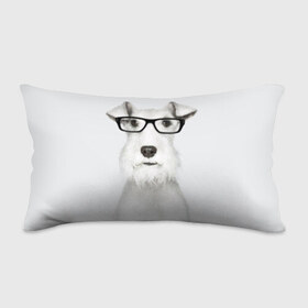 Подушка 3D антистресс с принтом Собака в очках в Курске, наволочка — 100% полиэстер, наполнитель — вспененный полистирол | состоит из подушки и наволочки на молнии | белый | домашнее | животное | очки | пес | прикол | собака в очках | умный | ученый | эрдельтерьер