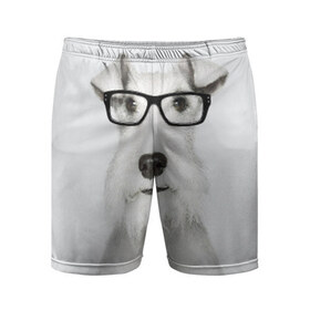 Мужские шорты 3D спортивные с принтом Собака в очках в Курске,  |  | Тематика изображения на принте: белый | домашнее | животное | очки | пес | прикол | собака в очках | умный | ученый | эрдельтерьер