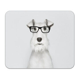 Коврик прямоугольный с принтом Собака в очках в Курске, натуральный каучук | размер 230 х 185 мм; запечатка лицевой стороны | Тематика изображения на принте: белый | домашнее | животное | очки | пес | прикол | собака в очках | умный | ученый | эрдельтерьер