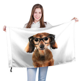 Флаг 3D с принтом Собака в очках в Курске, 100% полиэстер | плотность ткани — 95 г/м2, размер — 67 х 109 см. Принт наносится с одной стороны | домашнее | животное | очки | пес | прикол | собака в очках | умный | ученый
