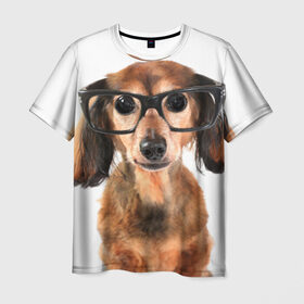 Мужская футболка 3D с принтом Собака в очках в Курске, 100% полиэфир | прямой крой, круглый вырез горловины, длина до линии бедер | домашнее | животное | очки | пес | прикол | собака в очках | умный | ученый