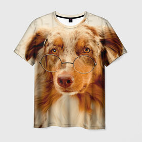 Мужская футболка 3D с принтом Собака в очках в Курске, 100% полиэфир | прямой крой, круглый вырез горловины, длина до линии бедер | Тематика изображения на принте: домашнее | животное | очки | пес | прикол | собака в очках | умный | ученый
