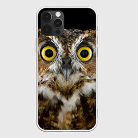 Чехол для iPhone 12 Pro Max с принтом Сова в Курске, Силикон |  | Тематика изображения на принте: взгляд | гипноз | гипнотический | глаза | мистическая | ночная | ночь | птица | сова | фон | хищник | черный