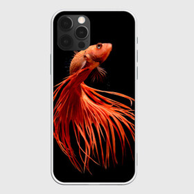 Чехол для iPhone 12 Pro с принтом Бойцовая рыбка в Курске, силикон | область печати: задняя сторона чехла, без боковых панелей | аквариумная | бойцовая | красивый | плавники | рыба | рыбка | хвост | япаонская