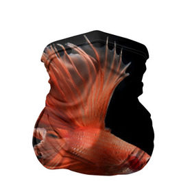 Бандана-труба 3D с принтом Бойцовая рыбка в Курске, 100% полиэстер, ткань с особыми свойствами — Activecool | плотность 150‒180 г/м2; хорошо тянется, но сохраняет форму | аквариумная | бойцовая | красивый | плавники | рыба | рыбка | хвост | япаонская