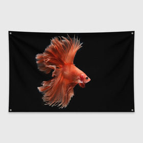 Флаг-баннер с принтом Бойцовая рыбка в Курске, 100% полиэстер | размер 67 х 109 см, плотность ткани — 95 г/м2; по краям флага есть четыре люверса для крепления | аквариумная | бойцовая | красивый | плавники | рыба | рыбка | хвост | япаонская