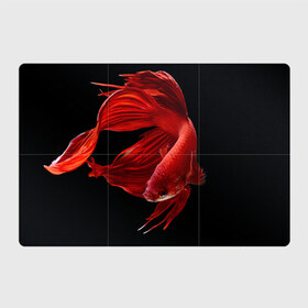 Магнитный плакат 3Х2 с принтом Бойцовая рыбка в Курске, Полимерный материал с магнитным слоем | 6 деталей размером 9*9 см | 
