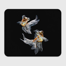 Коврик прямоугольный с принтом Бойцовая рыбка в Курске, натуральный каучук | размер 230 х 185 мм; запечатка лицевой стороны | аквариумная | бойцовая | красивый | плавники | рыба | рыбка | хвост | япаонская