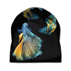 Шапка 3D с принтом Бойцовая рыбка в Курске, 100% полиэстер | универсальный размер, печать по всей поверхности изделия | Тематика изображения на принте: аквариумная | бойцовая | красивый | плавники | рыба | рыбка | хвост | япаонская