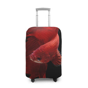 Чехол для чемодана 3D с принтом Бойцовая рыбка в Курске, 86% полиэфир, 14% спандекс | двустороннее нанесение принта, прорези для ручек и колес | аквариумная | бойцовая | красивый | плавники | рыба | рыбка | хвост | япаонская