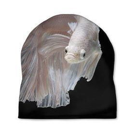 Шапка 3D с принтом Бойцовая рыбка в Курске, 100% полиэстер | универсальный размер, печать по всей поверхности изделия | аквариумная | бойцовая | красивый | плавники | рыба | рыбка | хвост | япаонская