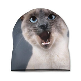 Шапка 3D с принтом Злой кот в Курске, 100% полиэстер | универсальный размер, печать по всей поверхности изделия | взгляд | домашнее | животное | злой | зубы | клыки | кот | котэ | кошка | оскал | сеамский