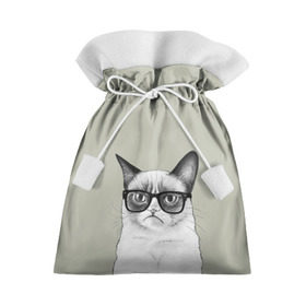 Подарочный 3D мешок с принтом Кот - хипстер в Курске, 100% полиэстер | Размер: 29*39 см | cat | hipster | кот | кошка | хипстер