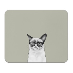 Коврик прямоугольный с принтом Кот - хипстер в Курске, натуральный каучук | размер 230 х 185 мм; запечатка лицевой стороны | cat | hipster | кот | кошка | хипстер