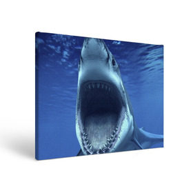 Холст прямоугольный с принтом Белая акула в Курске, 100% ПВХ |  | shark | море | синий