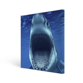 Холст квадратный с принтом Белая акула в Курске, 100% ПВХ |  | shark | море | синий