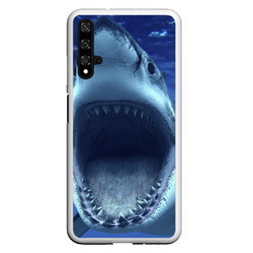 Чехол для Honor 20 с принтом Белая акула в Курске, Силикон | Область печати: задняя сторона чехла, без боковых панелей | shark | море | синий