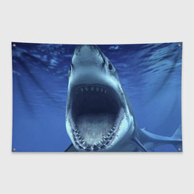Флаг-баннер с принтом Белая акула в Курске, 100% полиэстер | размер 67 х 109 см, плотность ткани — 95 г/м2; по краям флага есть четыре люверса для крепления | shark | море | синий