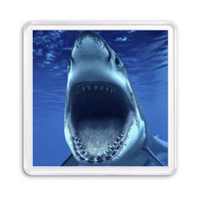 Магнит 55*55 с принтом Белая акула в Курске, Пластик | Размер: 65*65 мм; Размер печати: 55*55 мм | shark | море | синий