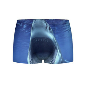 Мужские трусы 3D с принтом Белая акула в Курске, 50% хлопок, 50% полиэстер | классическая посадка, на поясе мягкая тканевая резинка | shark | море | синий