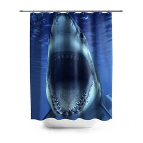 Штора 3D для ванной с принтом Белая акула в Курске, 100% полиэстер | плотность материала — 100 г/м2. Стандартный размер — 146 см х 180 см. По верхнему краю — пластиковые люверсы для креплений. В комплекте 10 пластиковых колец | shark | море | синий