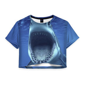 Женская футболка 3D укороченная с принтом Белая акула в Курске, 100% полиэстер | круглая горловина, длина футболки до линии талии, рукава с отворотами | shark | море | синий