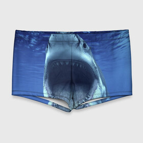 Мужские купальные плавки 3D с принтом Белая акула в Курске, Полиэстер 85%, Спандекс 15% |  | shark | море | синий