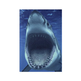 Обложка для паспорта матовая кожа с принтом Белая акула в Курске, натуральная матовая кожа | размер 19,3 х 13,7 см; прозрачные пластиковые крепления | shark | море | синий