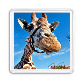 Магнит 55*55 с принтом Прикольный жираф в Курске, Пластик | Размер: 65*65 мм; Размер печати: 55*55 мм | Тематика изображения на принте: африка | животное | жираф | небо | природа