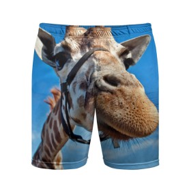 Мужские шорты 3D спортивные с принтом Прикольный жираф в Курске,  |  | Тематика изображения на принте: африка | животное | жираф | небо | природа