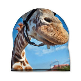 Шапка 3D с принтом Прикольный жираф в Курске, 100% полиэстер | универсальный размер, печать по всей поверхности изделия | Тематика изображения на принте: африка | животное | жираф | небо | природа