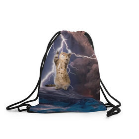 Рюкзак-мешок 3D с принтом Кот и молния в Курске, 100% полиэстер | плотность ткани — 200 г/м2, размер — 35 х 45 см; лямки — толстые шнурки, застежка на шнуровке, без карманов и подкладки | буря | гроза | кот | котенок | молния | облака