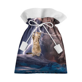 Подарочный 3D мешок с принтом Кот и молния в Курске, 100% полиэстер | Размер: 29*39 см | Тематика изображения на принте: буря | гроза | кот | котенок | молния | облака