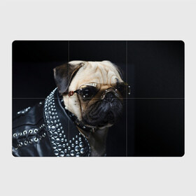 Магнитный плакат 3Х2 с принтом Бульдог в очках в Курске, Полимерный материал с магнитным слоем | 6 деталей размером 9*9 см | бульдог в очках | домашнее | животное | клепки | кожа | металлист | очки | пес | прикол | рокер | собака | умный | ученый | французский