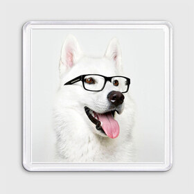 Магнит 55*55 с принтом Собака в очках в Курске, Пластик | Размер: 65*65 мм; Размер печати: 55*55 мм | домашнее | животное | очки | пес | прикол | собака в очках | умный | ученый