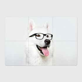 Магнитный плакат 3Х2 с принтом Собака в очках в Курске, Полимерный материал с магнитным слоем | 6 деталей размером 9*9 см | домашнее | животное | очки | пес | прикол | собака в очках | умный | ученый