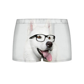 Мужские трусы 3D с принтом Собака в очках в Курске, 50% хлопок, 50% полиэстер | классическая посадка, на поясе мягкая тканевая резинка | Тематика изображения на принте: домашнее | животное | очки | пес | прикол | собака в очках | умный | ученый