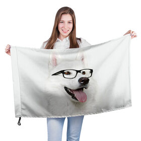 Флаг 3D с принтом Собака в очках в Курске, 100% полиэстер | плотность ткани — 95 г/м2, размер — 67 х 109 см. Принт наносится с одной стороны | домашнее | животное | очки | пес | прикол | собака в очках | умный | ученый
