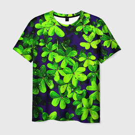 Мужская футболка 3D с принтом Цветы в Курске, 100% полиэфир | прямой крой, круглый вырез горловины, длина до линии бедер | flower | весна | лето | природа | тюльпаны