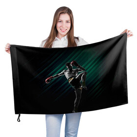 Флаг 3D с принтом Muay thai 6 в Курске, 100% полиэстер | плотность ткани — 95 г/м2, размер — 67 х 109 см. Принт наносится с одной стороны | muay thai